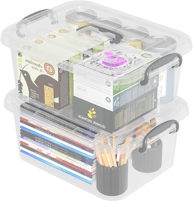 Clear Plastic Storage Boxes with Lid 2-Pack Storage Latch Bins 8 L F