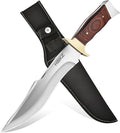 Fixed Blade Survival Knife - 9Cr18 Stainless Steel Hunting Knife - 12 Heavy Duty Bushcraft Knife with Premium Wood Handle - Gift for Men for Camping Hiking &amp Fishing