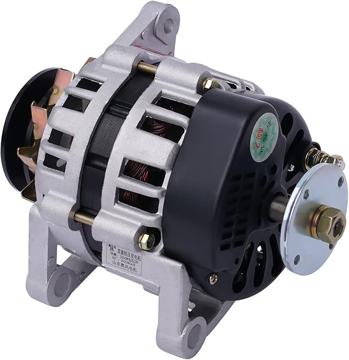 2000W Permanent Magnet Generator Permanent DC Generator Low Rpm Charging Stable Low Noise Pure Copper Motor 24V Two Wheel Generators for Agriculture