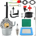 Carburetor for Briggs &amp Stratton 204412 204415 204417 Engines Storm Responder 030209 030253 030475A 030430B 030436 Generator