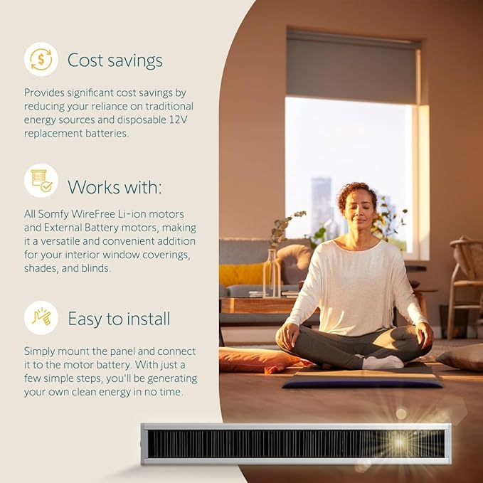 Somfy Wirefree Li-ion Solar Panel Kit 2-Pack - Solar Panel Power for RTS Motorized Shades Blinds and Curtains - Long Lasting Easy to Install - Includes Brackets and Glass Mount Adhesive #9027294