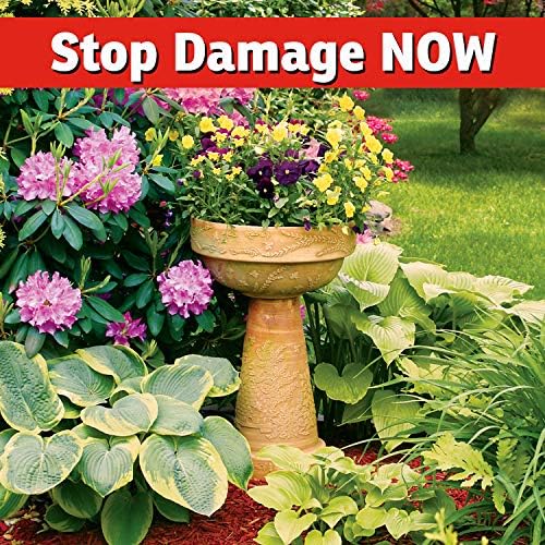 I Must Garden Deer Repellent Concentrate – 1 Gallon: Spice Scent Deer Spray for Plants – Natural Ingredients - Makes 10 Gallons Covers 40000 sq. ft.