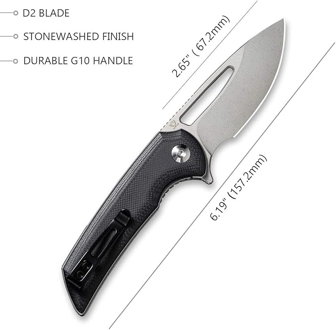 CIVIVI Odium Small Folding Knife –2.65 Black Stonewashed D2 blade G10 Handle Ball Bearings Pivot Flipper Opening Knife with Reversible Deep Carry Clip C2010D (Black)