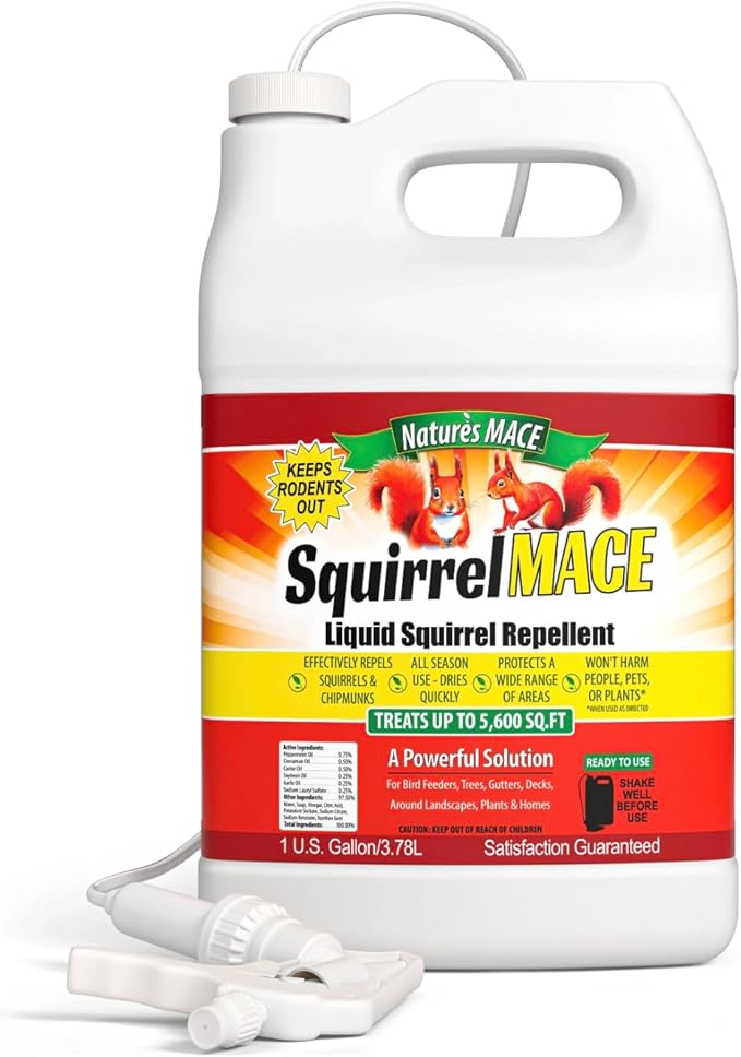 Nature's Mace Squirrel Repellent for Outdoors Chipmunk Deterrent for Attic Garden Car Keep Out of Garden Bird Feeders Fruit Trees Yard Plants (1 Gallon Ready-to-Use)