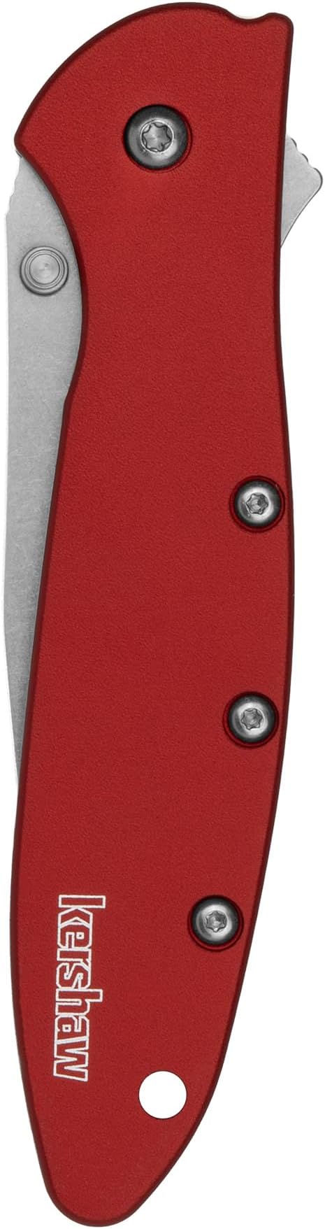 Kershaw Leek BlackWash Pocket Knife (1660BLKW) 3 Sandvik 14C28N Steel Blade 410 Stainless Steel Handle BlackWash Finish SpeedSafe Assisted Open Frame and Tip Locks Reversible Pocketclip 3 OZ
