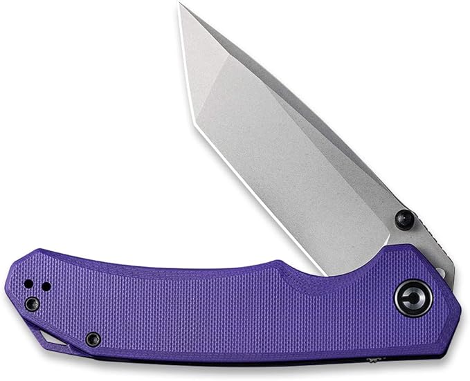 CIVIVI Brazen Folding Pocket Knife3.5-Inch Tanto D2 Plain BladeG-10 Outdoor Camping Hiking Knife with Thumb Studs and Flipper openerUnique Tool Gift for EDC Men Women C2023A (Purple)