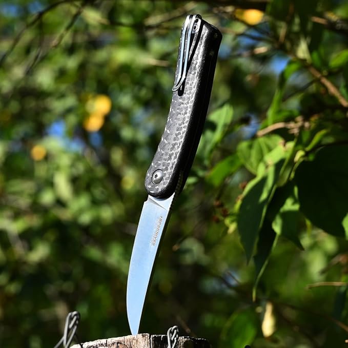 BPSKNIVES Colibri - Black Folding Knife 14C28N Stainless Steel Blade with G10 Handle - Small EDC Knife with Pocket Clip for Men - Sharp EDC Knife