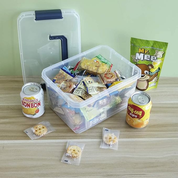 4.5 L Plastic Latch Storage Boxes with Lids 6-Pack Plastic Boxes