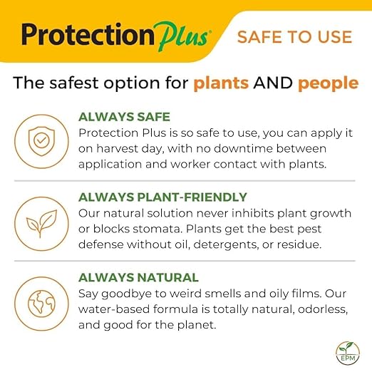 Environmental Plant Management Protection Plus Concentrate | Oil-Free Contact Insecticide for Plants | Kills Aphids Whiteflies Spider Mites &amp Other Soft-Bodied Pests | Natural | Indoor &amp Out