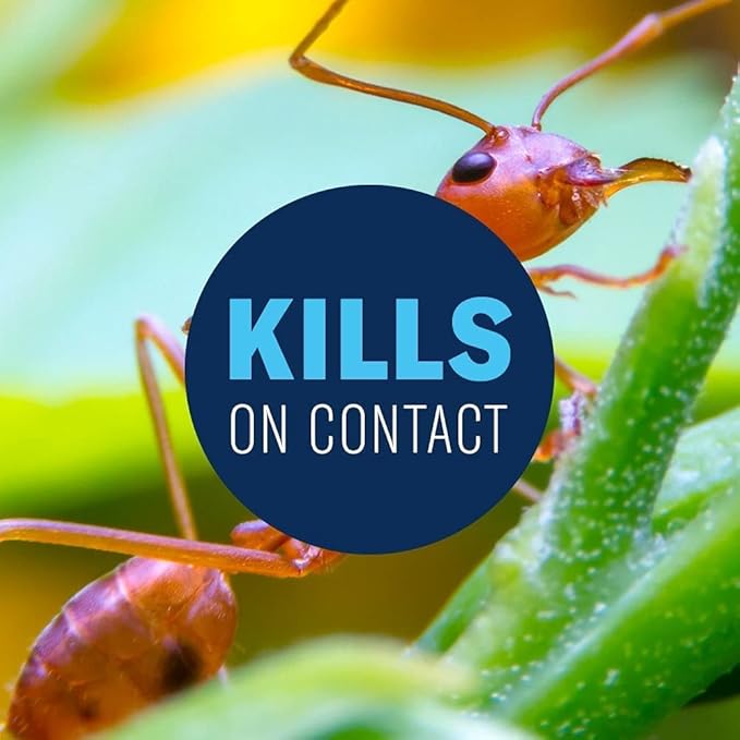 BioAdvanced 24 Hour Lawn Insect &amp Fire Ant Killer Concentrate 32 oz with BioAdvanced Home Pest Insect Killer Plus Germ Killer Ready-to-Use 24 oz