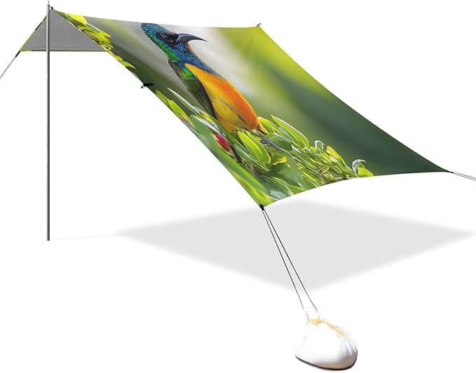 Beautiful Hummingbird Beach Tent Sun Shelter Set UPF50+ UV Protection 10.5 x 9.19 FT Camping Shade Canopy with Sandbags Sand Anchors Carrying Bag and Others