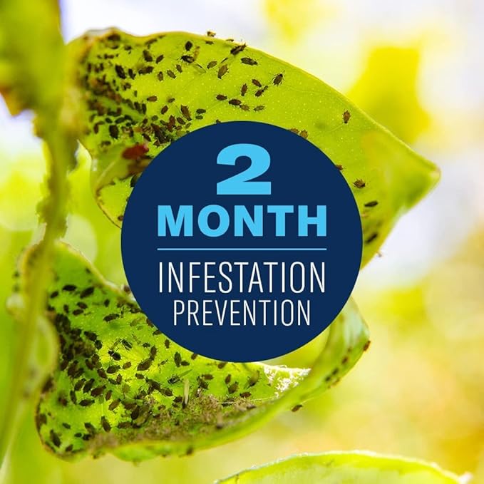BioAdvanced Fruit Citrus &amp Vegetable Insect Control for Edible Gardening Concentrate 32 Oz with BioAdvanced Fruit &amp Citrus Tree Concentrate 32 oz