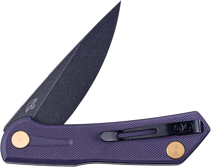Real Steel VALORE liner lock flipper Pocket Knife - Nitro-V Steel ball bearing  G10 HandleTwo-Bolt Design Language of Poltergeist Works - Perfect for Camping Hiking EDC Cutting Tasks (Pruple G10/