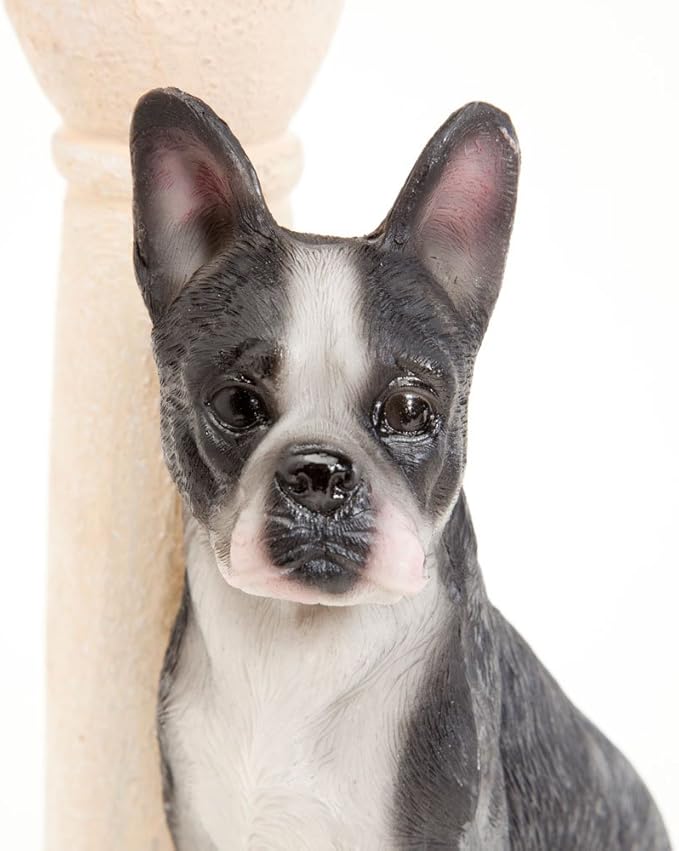 Bits and Pieces - Solar Dog Lantern-Solar Powered Garden Lantern - Resin Dog Sculpture with LED Light (Boston Terrier) - 13.5 Tall