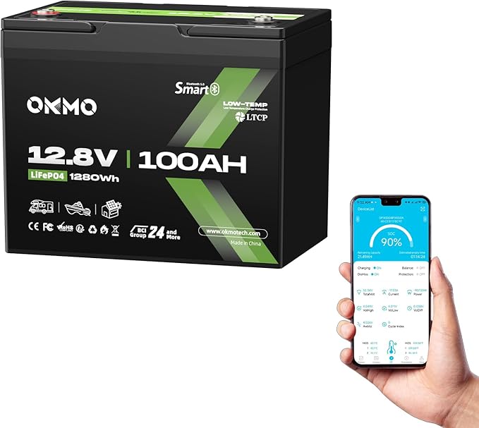 12V 100Ah LiFePO4 Battery with Bluetooth BCI Group 24 Built-in 100A BMS 1280Wh Rechargeable Deep Cycle Lithium Battery 15000+ Cycles for RV Marine Solar Trolling Motor Home Off-Grid
