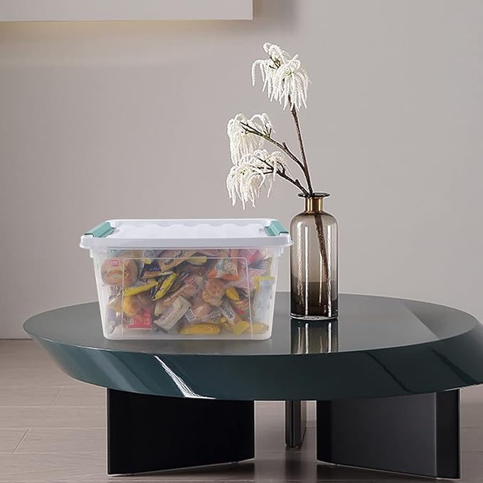 4-pack 20 Quarts Clear Boxes with Lids Plastic Latch Storage Totes