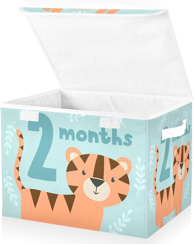 2_months Storage Bins with Lid Foldable Shoe Storage Bins with Lids for Storage for Home Studyroom Office Basket