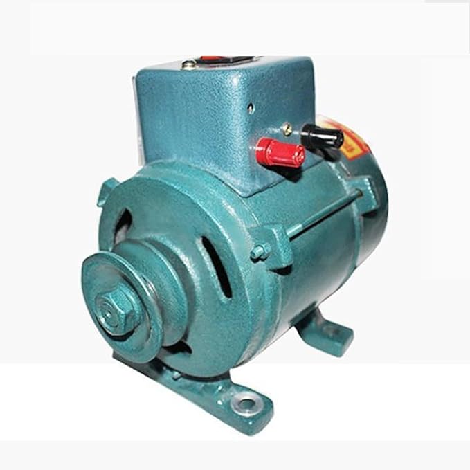 3500W 220V Permanent Magnet Generator Brushless Belt-Driven Lighting Generator With Pure Copper Coil For Gasoline Or Diesel Engine Home Backup Use