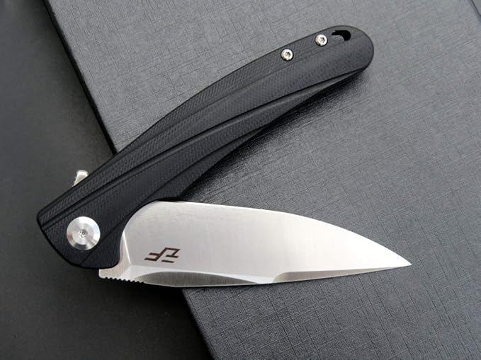 Eafengrow EF957 Folding Knife D2 Steel Blade G10 Handle with Pocket Clip Reliable Locking Mechanism EDC Flipper Knife for Camping Hiking(Black)