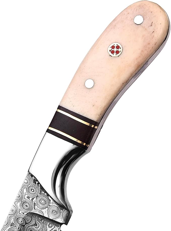 Handmade Damascus Steel Bull Cutter with Pancake Leather Sheath Fixed Blade Cowboy Knife with Bone/Walnut Handle Utility EDC Hunting Knife (Camel Bone)