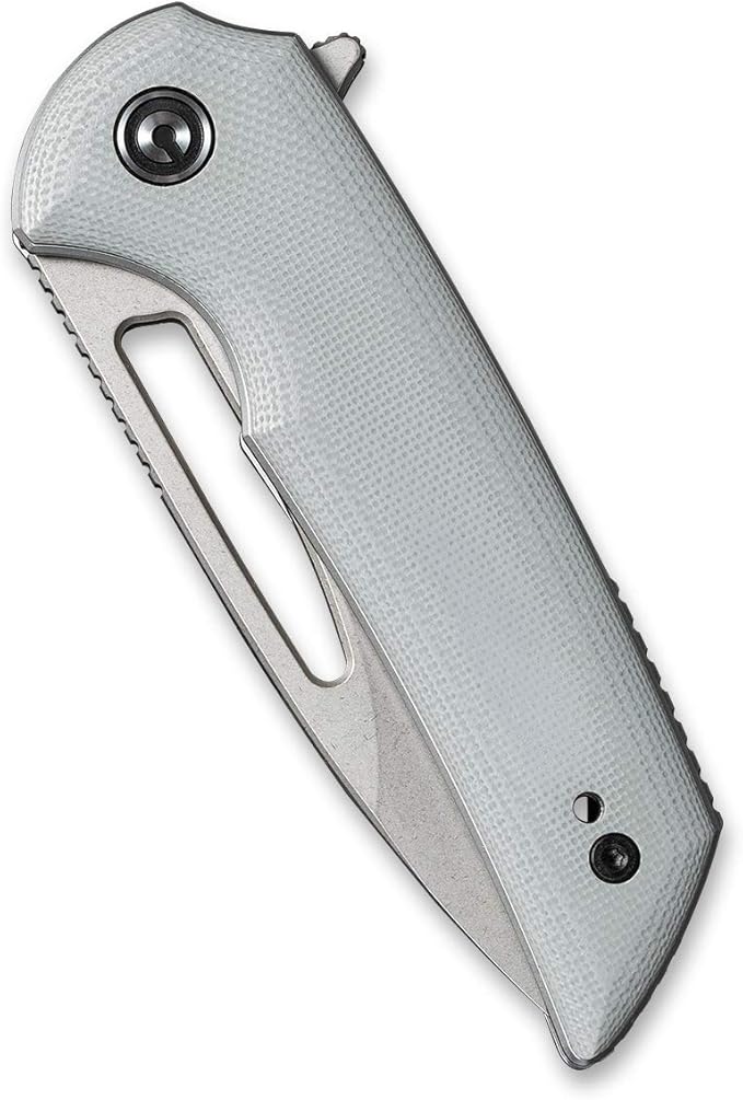 CIVIVI Odium Small Folding Knife –2.65 Stonewashed D2 blade G10 Handle Ball Bearings Pivot Flipper Opening Knife with Reversible Deep Carry Clip C2010A (Gray)