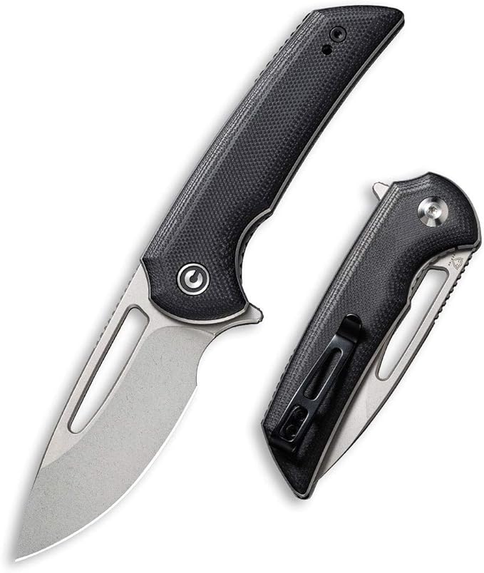 CIVIVI Odium Small Folding Knife –2.65 Black Stonewashed D2 blade G10 Handle Ball Bearings Pivot Flipper Opening Knife with Reversible Deep Carry Clip C2010D (Black)