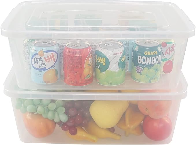 16 Quarts Clear Storage Container with Lid Plastic Shoe Box Latch Boxes set of 2