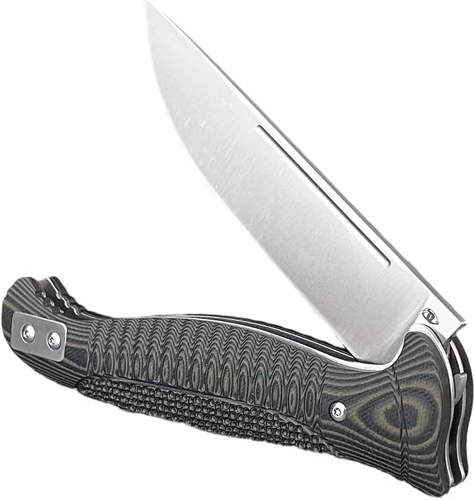 Daily Use Folding Knife with D2 Blade &amp G10 Handle Portable Outdoor EDC Tool for Camping Hunting Survival (Black)