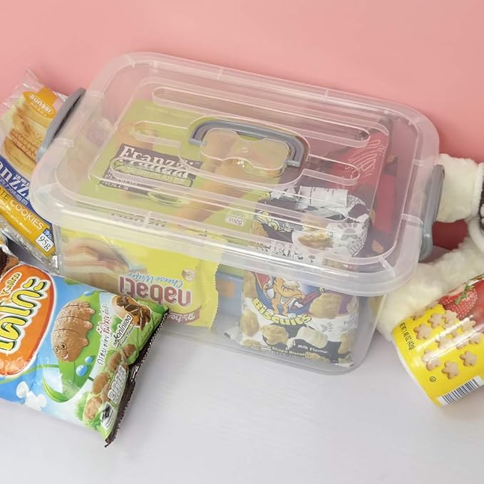 2 Packs Storage Bin with Lid 8 Liter Plastic Box Set