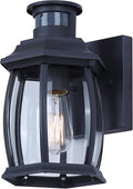 Grovehaven 1-Light Outdoor Light 10-inch Black Finish Wall Mounted with Clear Glass Built-in Motion Sensor/Photocell Lighting for Entryways Patios Porches