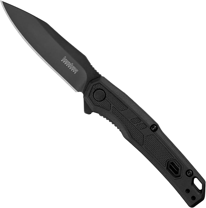 Kershaw Leek Black EDC Pocketknife 3 Sandvik 14C28N Steel Blade Assisted Opening Folding Knife