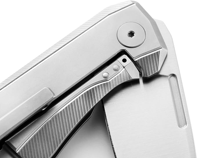 LionSTEEL NANO Titanium Frame Lock Folding Pocket Knife Magnacut Steel Blade Solid Handle Construction Drop Point Made in Italy (Black Micarta)