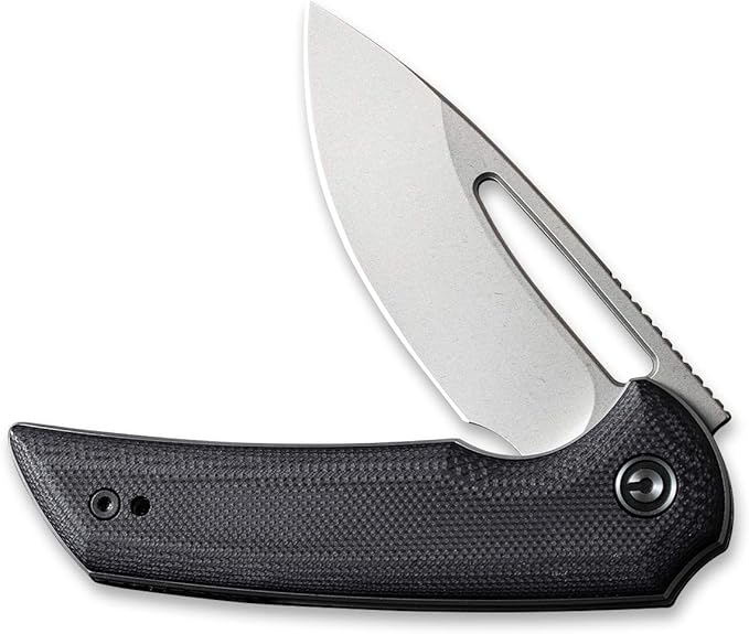 CIVIVI Odium Small Folding Knife –2.65 Black Stonewashed D2 blade G10 Handle Ball Bearings Pivot Flipper Opening Knife with Reversible Deep Carry Clip C2010D (Black)