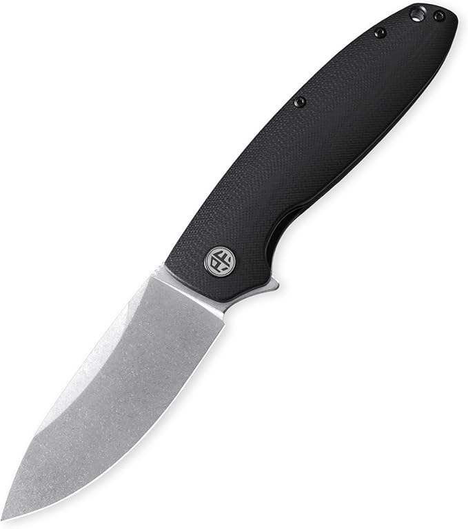Petrified fish PFB01 Terra3.54 D2 Steel Blade G10 Handle Flipper Liner lock Folding knife (Black G10 Stonewashed)