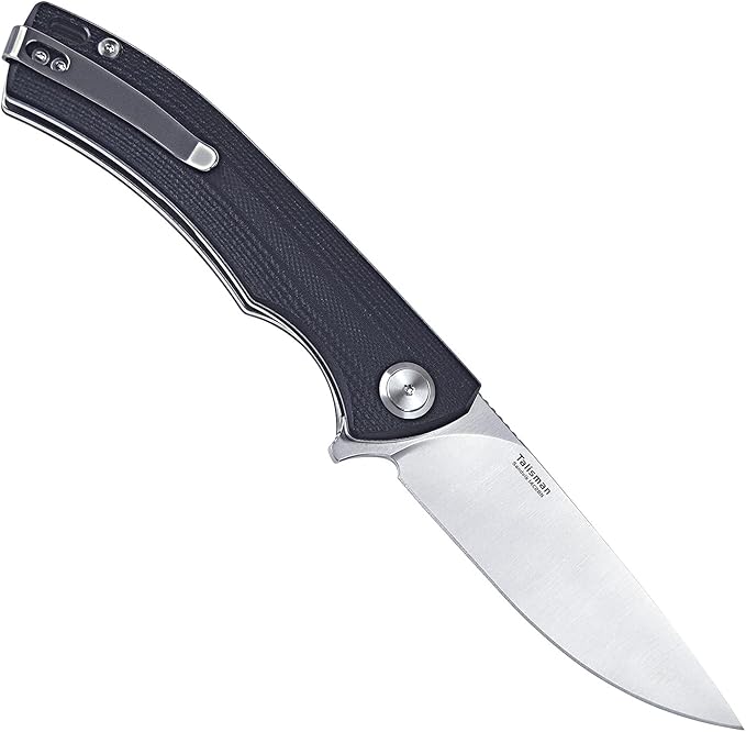 Harnds Talisman CK9168 Pocket Knife with Ball Bearing Pivot System Folding Knife with G10 Handle Pocketclip (black handle)