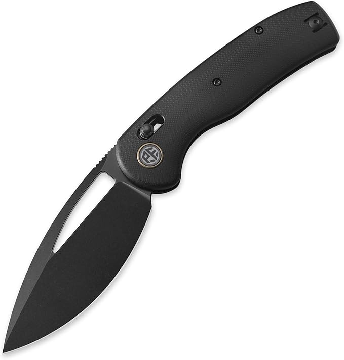 Petrified fish PFP13 Viper Folding Knife3.5 K110 Steel Black Stonewashed Blade G10 Handle Pocket Knife for Camping EDC Outdoor (Black Black Stonewashed)