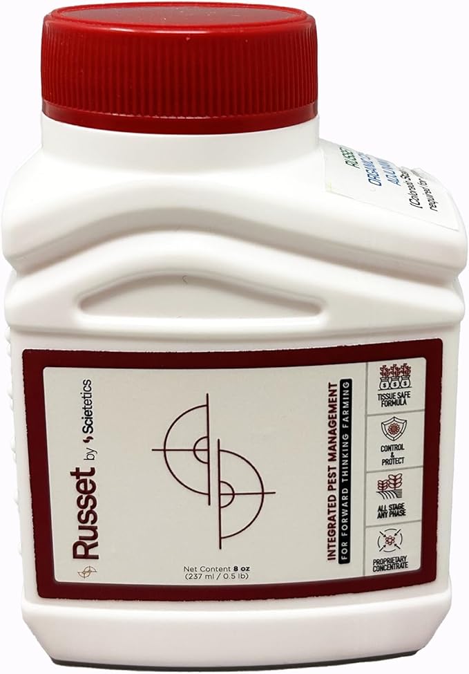 Russet - 8oz
