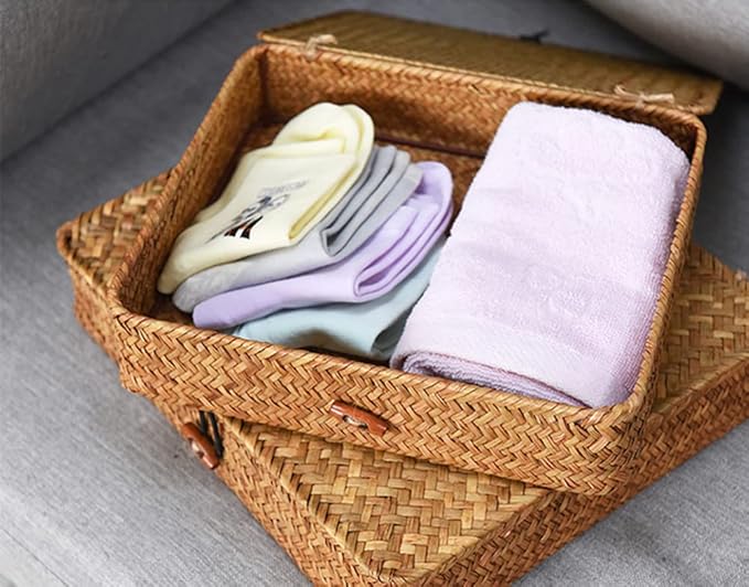 DOKOT Flat Seagrass Storage Bins with Lid Wicker Basket for Shelf Organize Set of 2 (Small+Large)