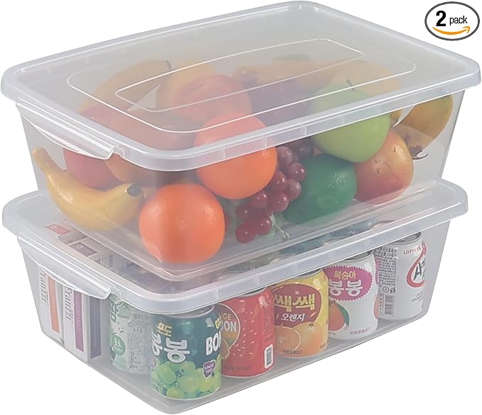 2-Pack 16 Quart Plastic Storage Box Bin with Lid Clear Latching Storage Bin