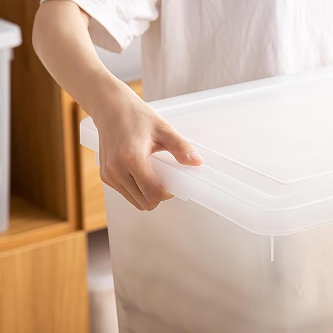 Stackable Plastic Storage Bins with LidsContainer to Organize Shoes and Crafts on Closet ShelvesGarage Totes Tubs Boxes Organizing 4 Pack (N-4XXL)