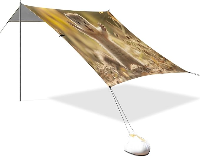 Cute Squirrel Beach Tent Sun Shelter Set UPF50+ UV Protection 10.5 x 9.19 FT Camping Shade Canopy with Sandbags Sand Anchors Carrying Bag and Others