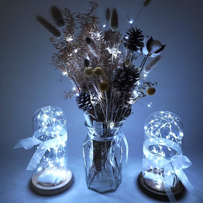 Battery Operated Silver Copper Wire Starry String Light 20 Pack Fairy String Lights6.6FT 20 LEDs for DIY Party Christmas Costume Wedding Easter Table Decorations (Cool White)