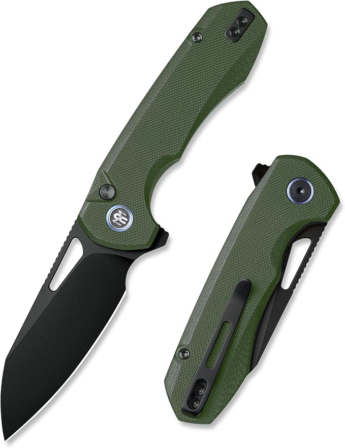 REMETTE RT-CAMEL Folding Pocket Knife Button Liner Lock - 3.1 D2 Steel Blade Green G10 Handle EDC Knife with Reversible Pocket Clip Sharp Knife for Hiking Camping Men &amp Women - RTG1