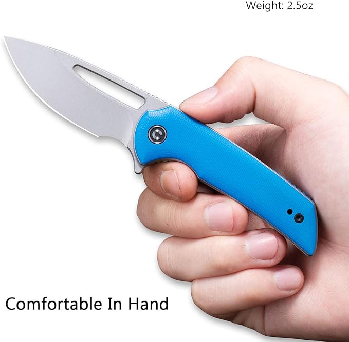 CIVIVI Odium Small Folding Knife –2.65 Stonewashed D2 blade G10 Handle Ball Bearings Pivot Flipper Opening Knife with Reversible Deep Carry Clip C2010C (Blue)