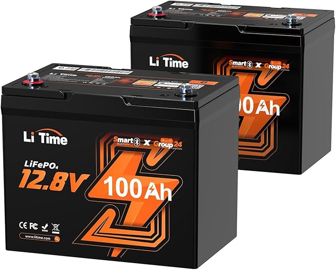 Litime 12V 100Ah Group 24 LiFePO4 Battery Bluetooth 12 Volt Deep Cycle Lithium Battery with Low-Temp Protection &amp 100A BMS Max. 15000 Cycles for RV Travel Trailers Marine Trolling Motors
