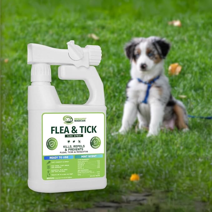 Mosquito Magician Flea and Tick Yard Spray with Hose End Sprayer – Mosquito &amp Tick Killer and Repellent Flea Treatment &amp Outdoor Bug Control for Lawn Garden &amp Backyard – Mint Scent 32 O