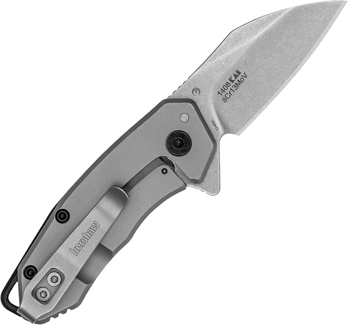 Kershaw Rate Folding Pocket Knife Small Everyday Carry Knife with Assisted Opening 8Cr13MoV Stainless Steel Blade Pocketclip and Lanyard HoleGrey