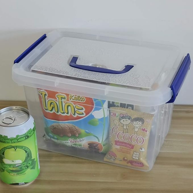 Clear Storage Box with Lid 6 Liter Small Plastic Box Bins Set of 6