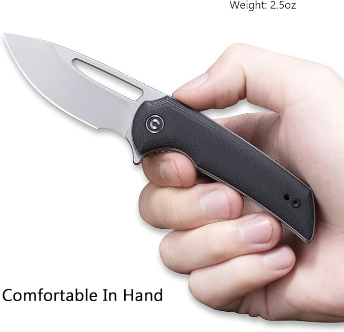 CIVIVI Odium Small Folding Knife –2.65 Black Stonewashed D2 blade G10 Handle Ball Bearings Pivot Flipper Opening Knife with Reversible Deep Carry Clip C2010D (Black)
