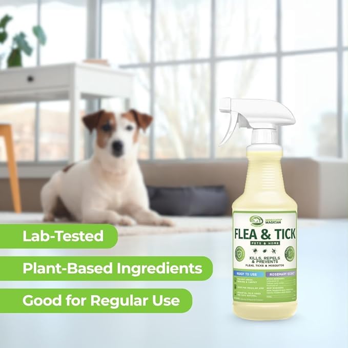 Mosquito Magician Indoor and Outdoor Flea &amp Tick Spray - Use for Carpet Furniture Bedding Couches &amp Pets – Plant-Sourced with Essential Oil – Mint 32 OZ